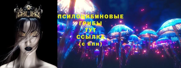 spice Алзамай
