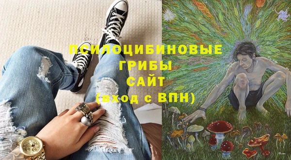 прущие крисы Алексин