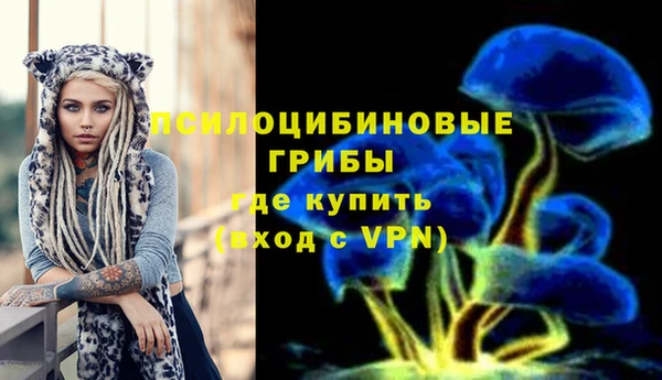 гидропоника Алексеевка