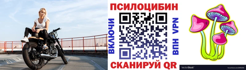 купить закладку  Касимов  блэк спрут маркетплейс  Псилоцибиновые грибы ЛСД 