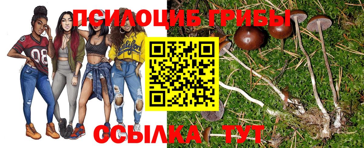 Псилоцибиновые грибы MAGIC MUSHROOMS  Вход с VPN  Галлюциногенные грибы GOLDEN TEACHER  Касимов 