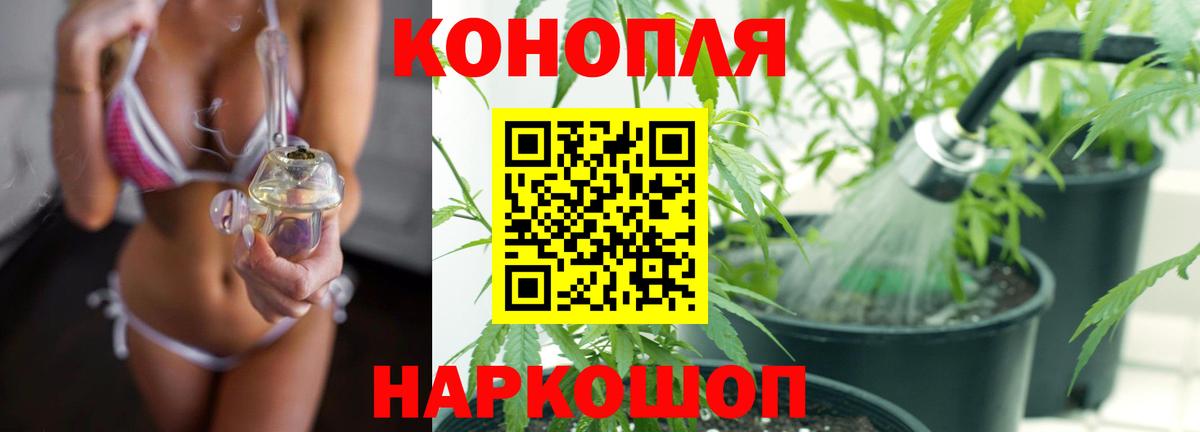 Касимов  Каннабис конопля  Бошки Шишки OG Kush  Конопля марихуана  Вход с VPN 